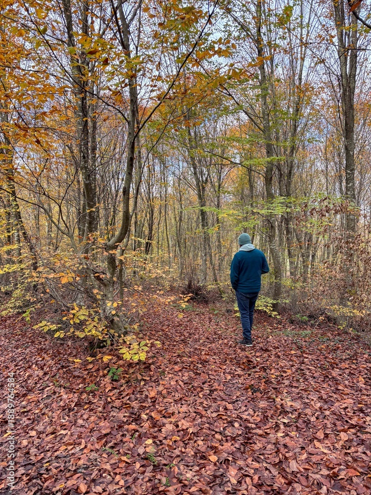 Fototapeta premium Man walking alone on a leaf-covered forest path in autumn
