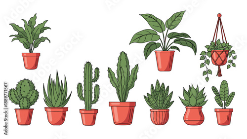 Detailed illustration of diverse indoor green potted plants and succulents in terracotta pots on a clean white background.
