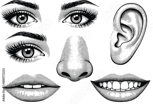 Collection of vintage-style black and white facial features: eyes, nose, ear, and lips, ready for creative use.