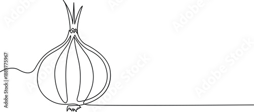Illustration of a single onion Vector