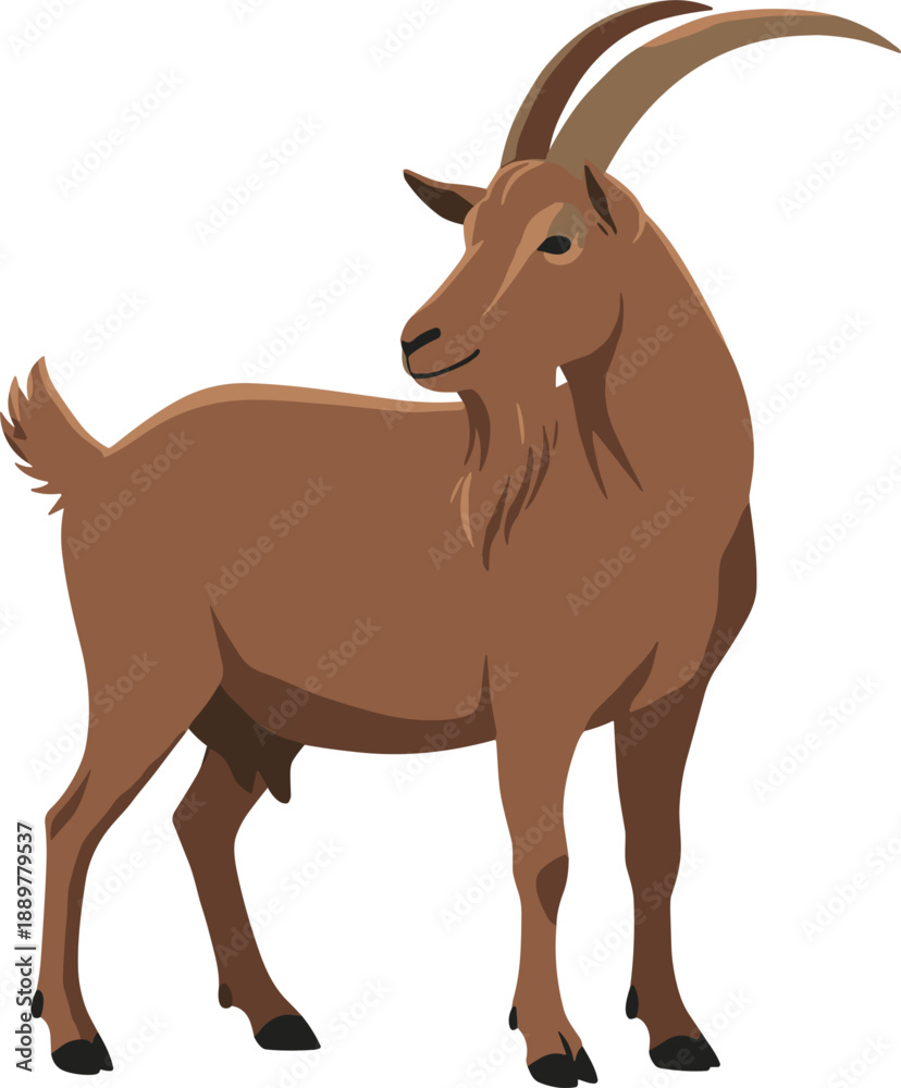 Fototapeta premium Flat goat illustration with horns standing isolated for farming wildlife nature education and logo design use concepts branding