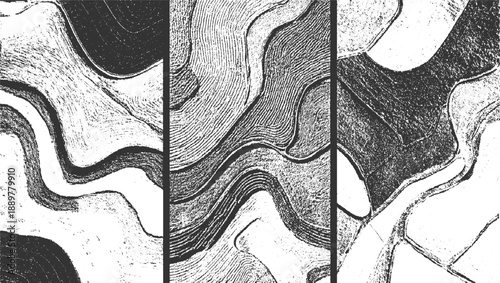 Abstract black and white textured patterns with curved lines and organic shapes