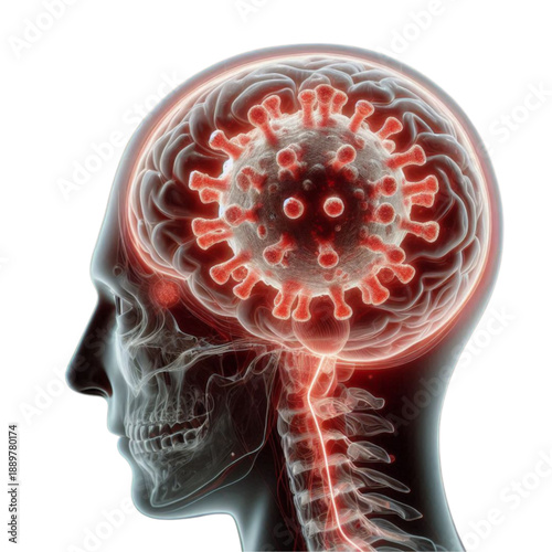 Virus Particle 3D Medical Illustration/Microscopic View of Infectious Virus/Enveloped RNA Virus Structure/Viral Pathogen Macro Close Up/Infectious Disease Concept Background