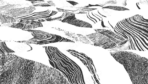 Abstract black and white textured organic shapes with flowing lines and patterns