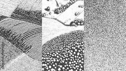 Aerial view of agricultural fields and trees rendered in stippled black and white