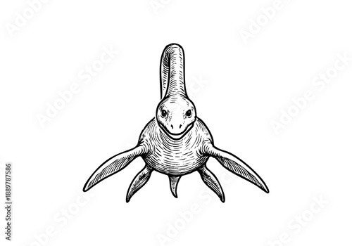 Plesiosaurus hand drawn simple sketch vector illustration