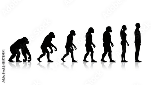 Human evolution silhouette primate to modern man walking sequence black figures on white background