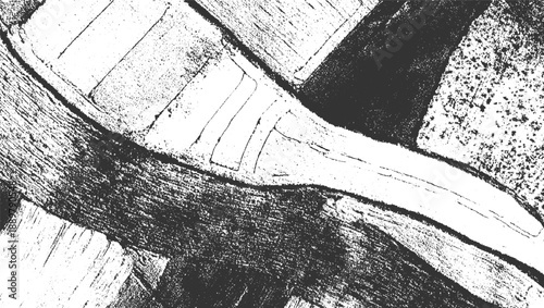 Black and white abstract texture resembling aerial view of agricultural fields and winding river pattern
