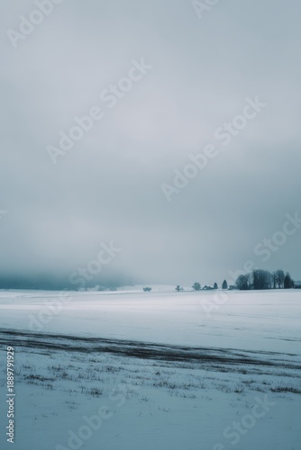 Wallpaper Mural Snow-covered landscape under soft morning light, muted colors, silent and expansive feeling, minimalist fine art composition, peaceful winter mood Torontodigital.ca