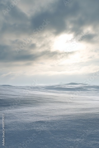 Wallpaper Mural Snow-covered landscape under soft morning light, muted colors, silent and expansive feeling, minimalist fine art composition, peaceful winter mood Torontodigital.ca