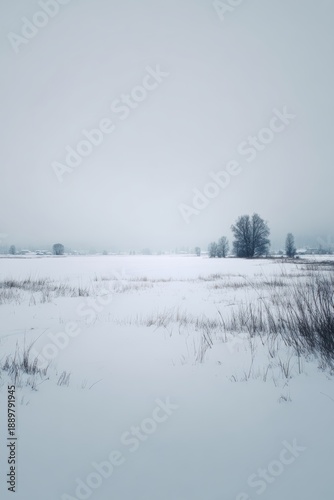 Wallpaper Mural Snow-covered landscape under soft morning light, muted colors, silent and expansive feeling, minimalist fine art composition, peaceful winter mood Torontodigital.ca