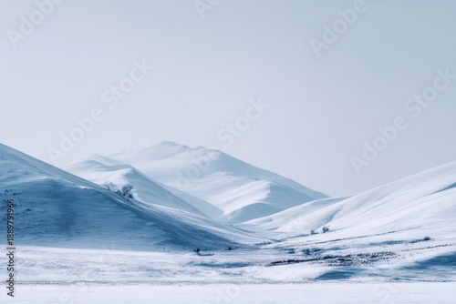 Wallpaper Mural Snow-covered landscape under soft morning light, muted colors, silent and expansive feeling, minimalist fine art composition, peaceful winter mood Torontodigital.ca