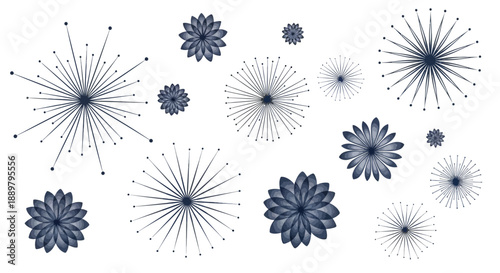 Elegant floral abstract pattern with radial lines and textured petals creating sophisticated