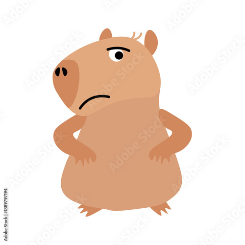 Disgruntled female capybara stands with her paws on her hips. Female swamp pig in bad mood. Tropical swamp animal mammal. Flat cartoon vector isolated on white background