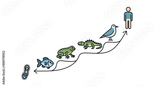 Evolutionary progression from microbe to human illustrating natural selection and adaptation through various species