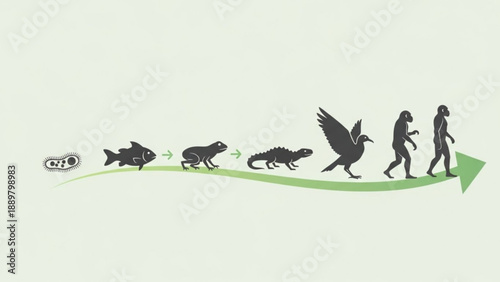Evolutionary timeline from fish to human illustrating natural selection and species development
