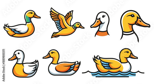 Set of cartoon duck illustrations featuring swimming flying standing and head icons