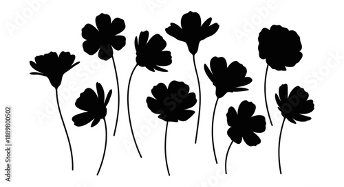 Elegant floral silhouettes of diverse blossoms contrasting sharply on a stark white backdrop