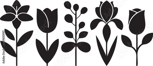 Black and white flower vector set: lily, tulip, berries, iris, rose eps silhouette