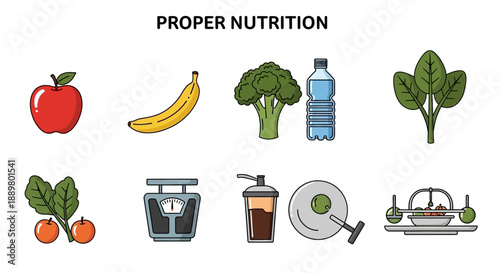 Healthy lifestyle illustration featuring fresh fruits vegetables and exercise equipment