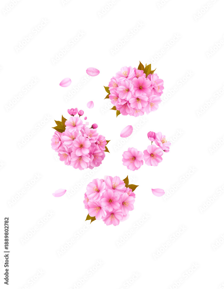 Obraz premium A beautiful bouquet of spring flowers is placed against a white background
