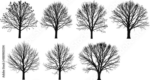 Set of deciduous tree silhouettes without leaves for winter design