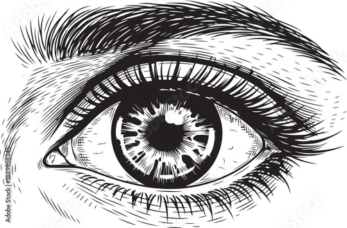 Detailed Black and White Engraving Style Human Eye Close-up iris pupil