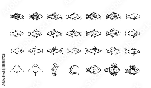 Fish monoline icons vector collection with editable stroke aquatic animals