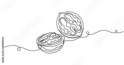 Continuous line drawing of open walnut. Non editable stroke