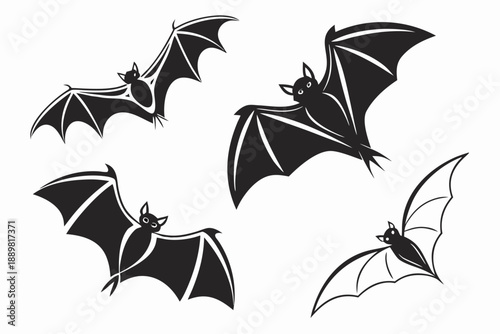 Placeholder image display