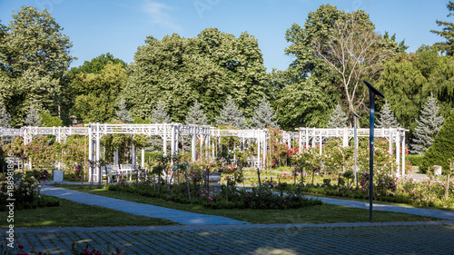 Rose Park in Timisoara, Romania. Rose Park (Rosarium) in Timisoara, Romania, features colorful blooming roses, green pathways, and a peaceful urban garden atmosphere on a sunny day.
