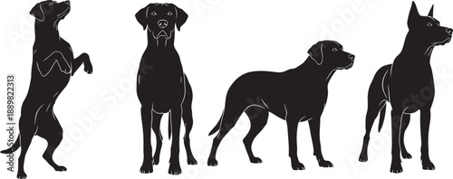 Set of black silhouettes showing various dog breeds in different poses including standing sitting and begging isolated on white background for pet and veterinary concepts.