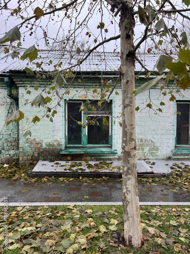 Old mint green brick building with tree and fallen autumn leaves, quiet urban atmosphere, Kyiv, Ukraine