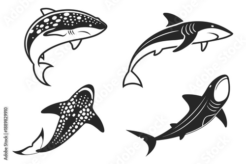 Displaying a vector file