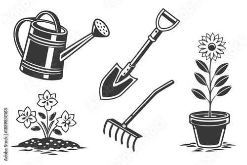 Placeholder image display