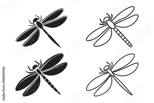 Placeholder image display