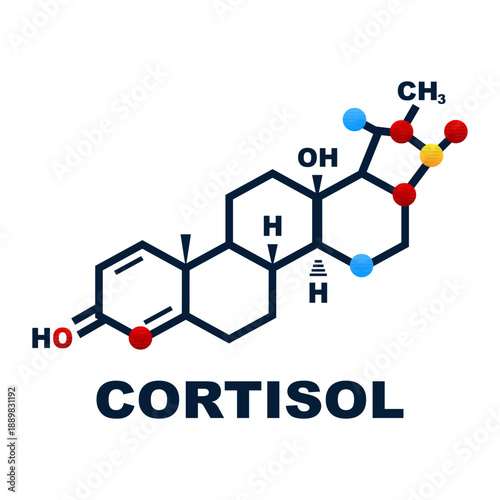 Cortisol Hormone Molecular Structure Diagram. Vector illustration.