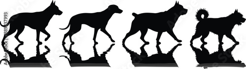 Set of Four Dog Breed Silhouettes Black Vector with Mirror Reflections for Pet Shops, Animal Care, Veterinary Services, and Canine Design Graphics