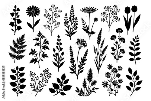 Adobe Illustrator Artwork