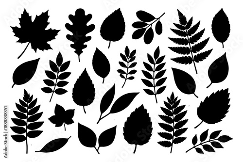 Adobe Illustrator Artwork