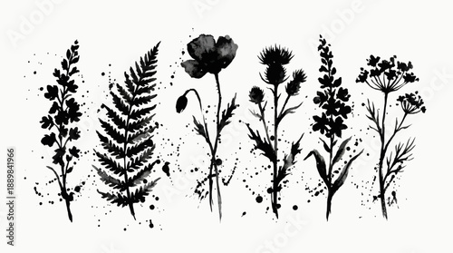 Silhouette collection of wildflowers and fern fronds in black ink, vintage botanical silhouettes for nature-inspired art, design, and decor