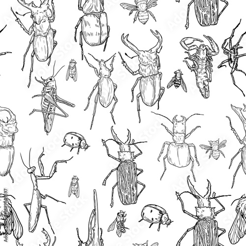 Woodworm, rhinoceros beetle, and bumblebee, flies, and bees, seamless pattern. Vector illustration. Simple drawing of insects, dragonflies, and spiders, isolated on a white background.