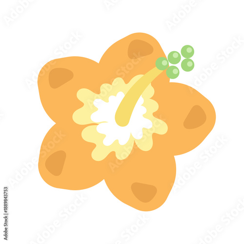 ハイビスカス（オレンジ色）　イラスト