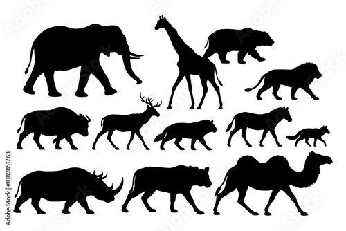 Silhouette collection of wild african and asian animals in various poses.