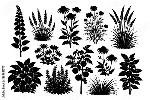 Silhouette collection of diverse garden plants and flowers.