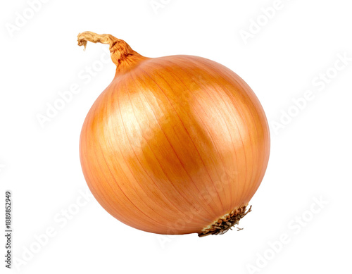 Wallpaper Mural Whole raw yellow onion on transparent background Torontodigital.ca