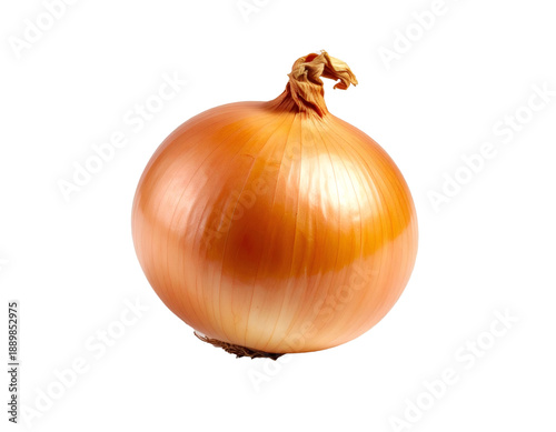 Yellow onion bulb ready for cooking ingredients