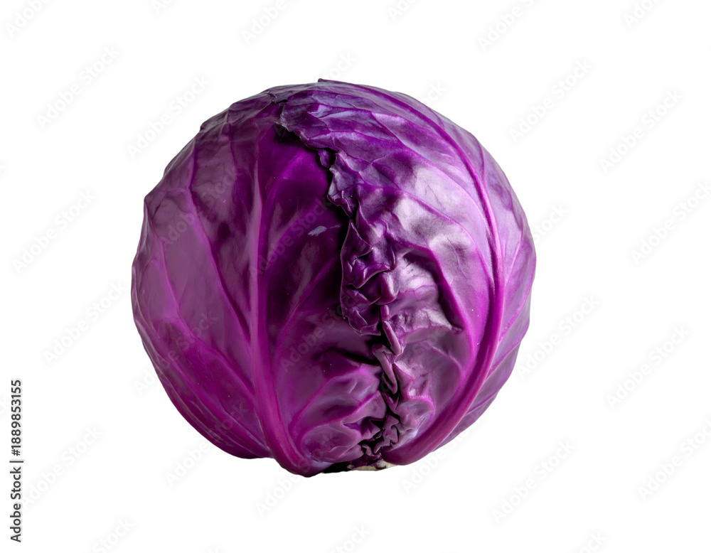 Fototapeta premium Fresh purple red cabbage vegetable on transparent background