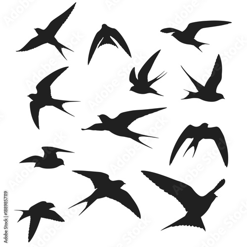 Flock of Swallows Silhouettes Flying on White Background - Dynamic Motion
