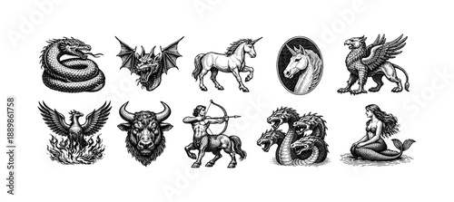 Intricate black and white mythical creatures collection